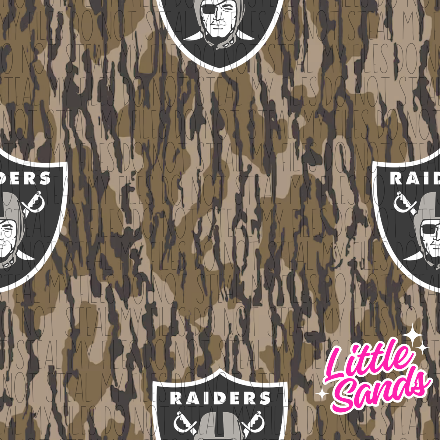 Raider
