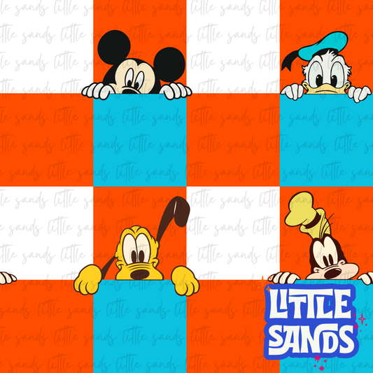 Boy mouse checks