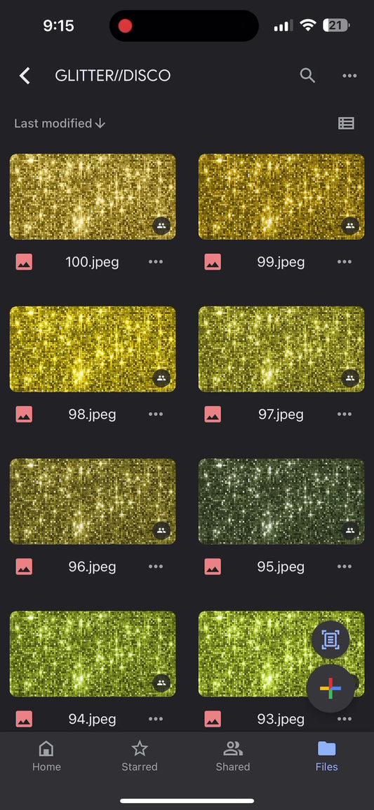 Disco glitter bundle—100 files